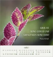 Zarte Blumengrüsse - Tischkalender