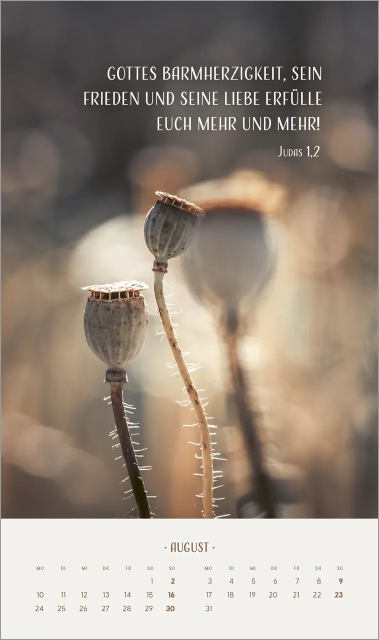 Zarte Blumengrüsse - Wandkalender