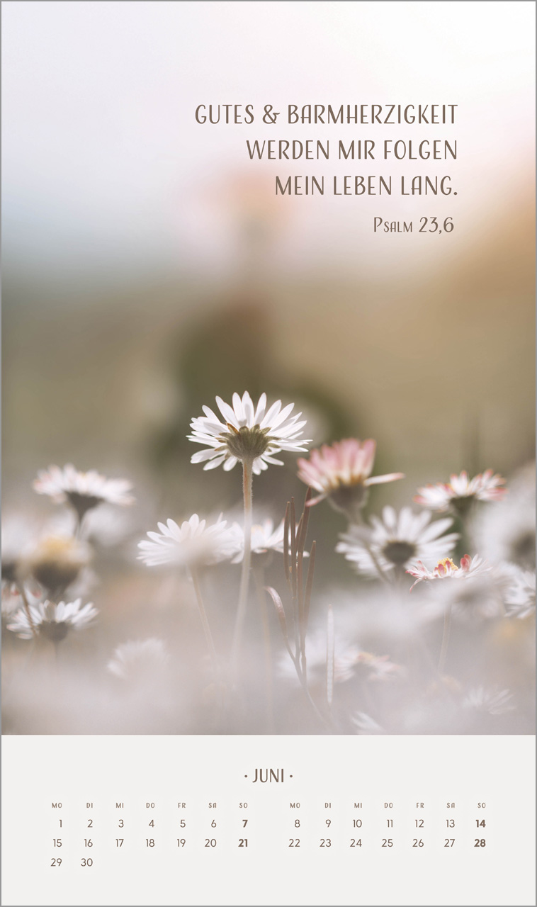 Zarte Blumengrüsse - Wandkalender