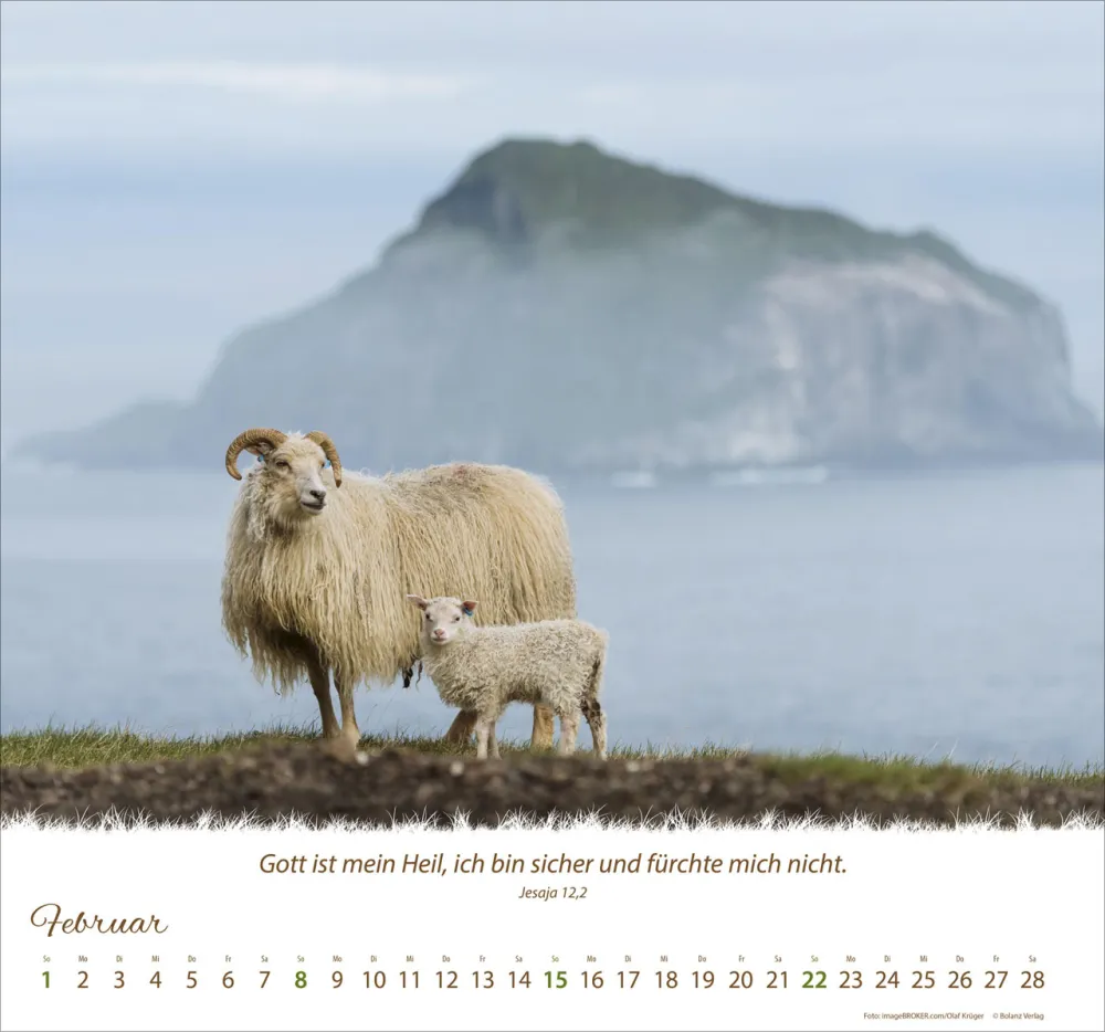 Kalender Ein Leben für die Schafe - Wandkalender