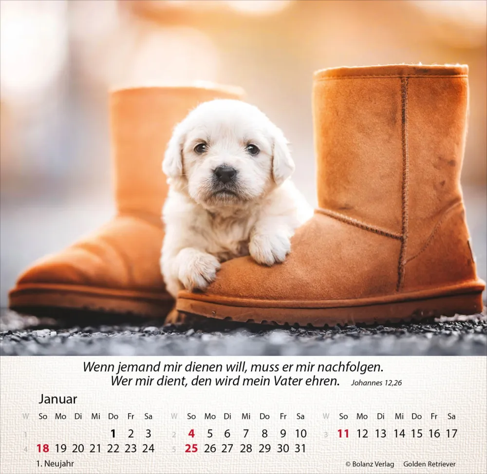 Kalender Hunde - Tischkalender