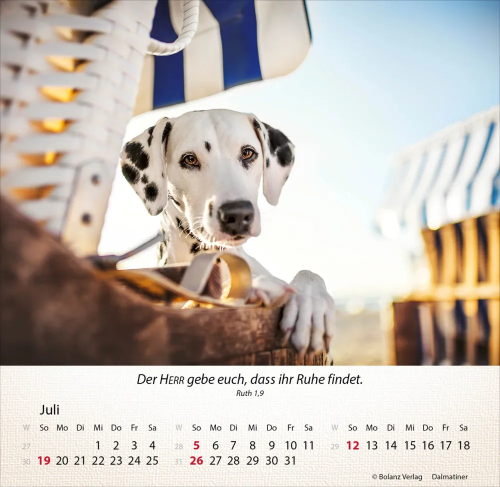 Kalender Hunde - Tischkalender