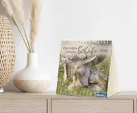 Kalender Ein Leben für die Schafe - Tischkalender