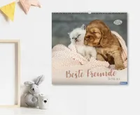 Kalender Beste Freunde - Ich mag dich - Posterkalender