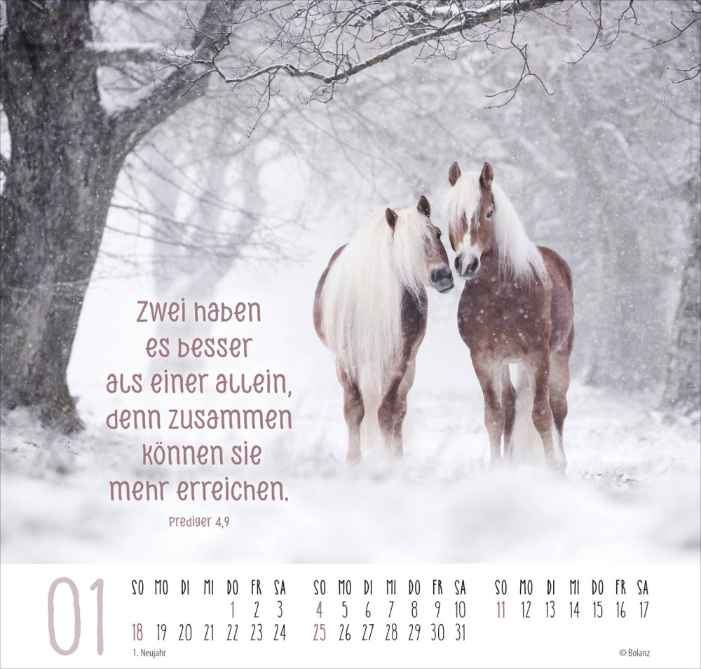 Kalender Beste Freunde - Ich mag dich - Posterkalender