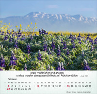 Kalender Israel Shalom - Tischkalender