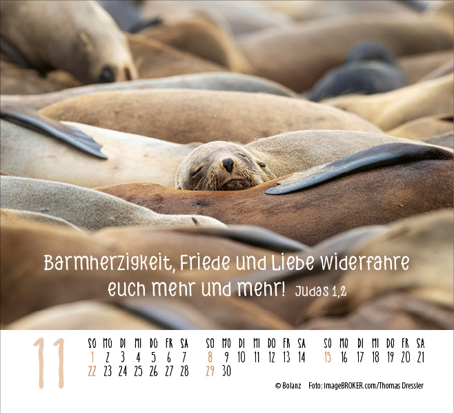 Kalender Begegnungen - Minikalender
