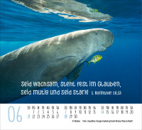 Kalender Begegnungen - Minikalender