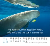 Kalender Begegnungen - Minikalender