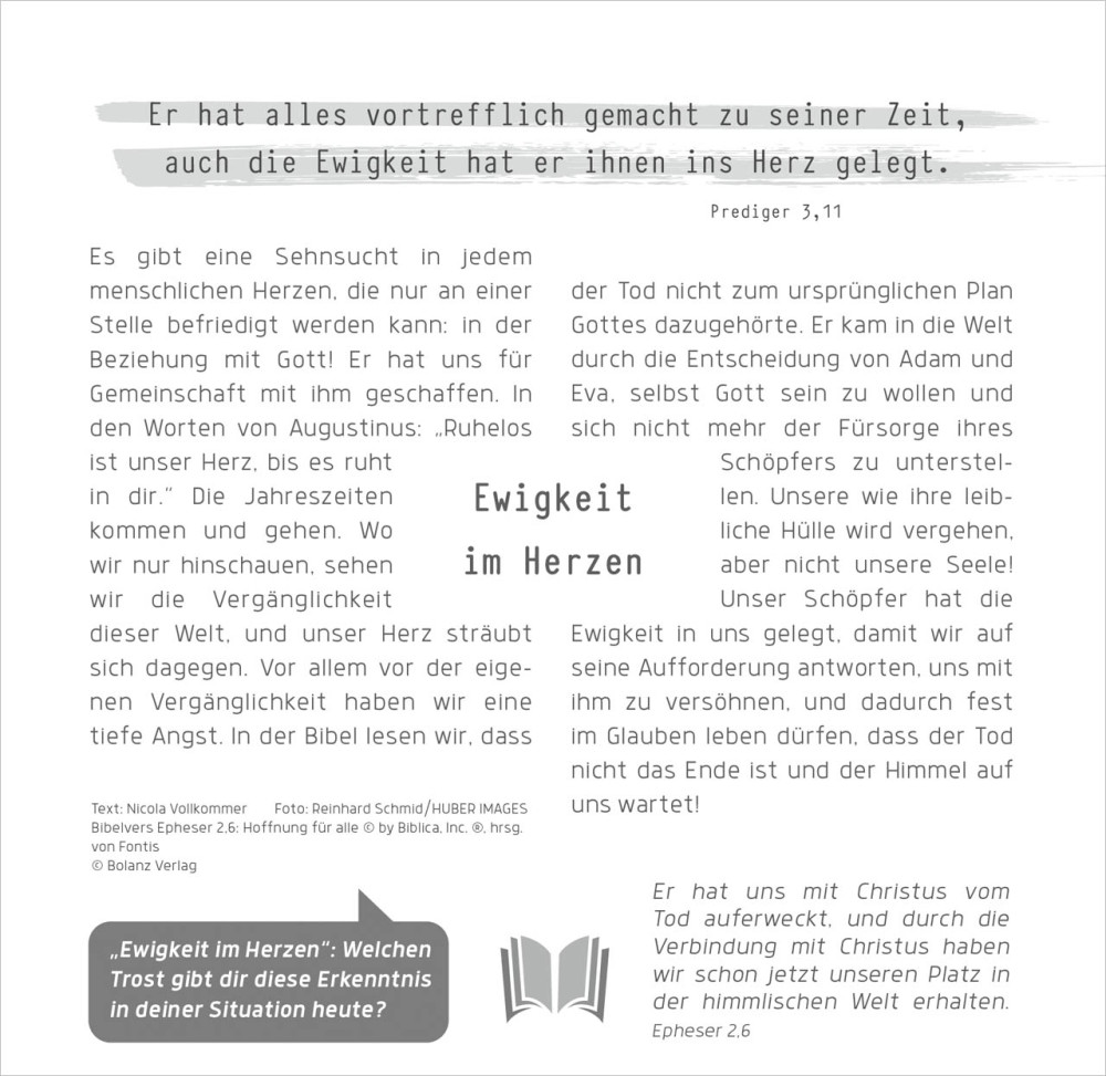 Weg-Licht-Leben - Tischkalender