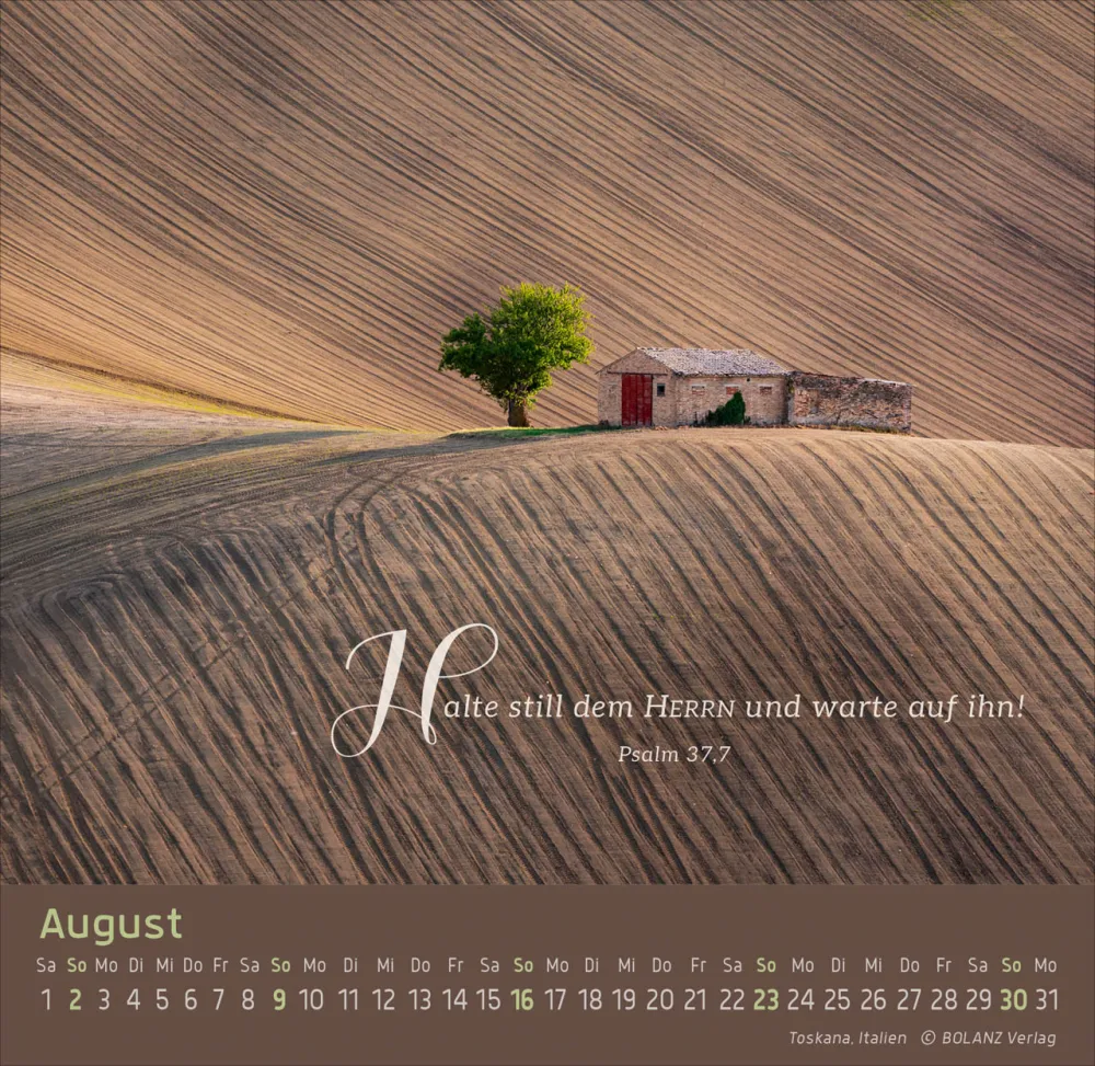 Weg-Licht-Leben - Tischkalender