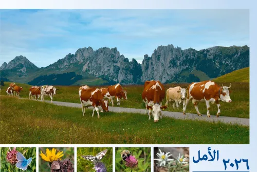 Arabisch - Deutsch, Bildkalender Hoffnung - Monatskalender