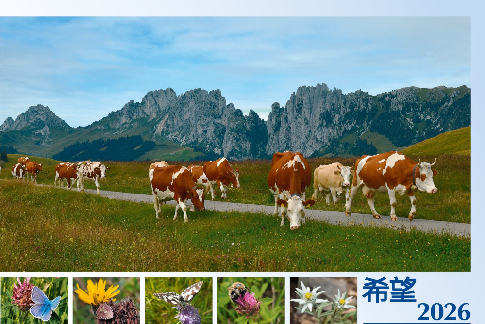 Chinesisch - Deutsch, Bildkalender Hoffnung - Monatskalender