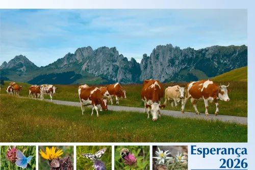 Portugiesisch - Deutsch, Bildkalender Hoffnung - Monatskalender