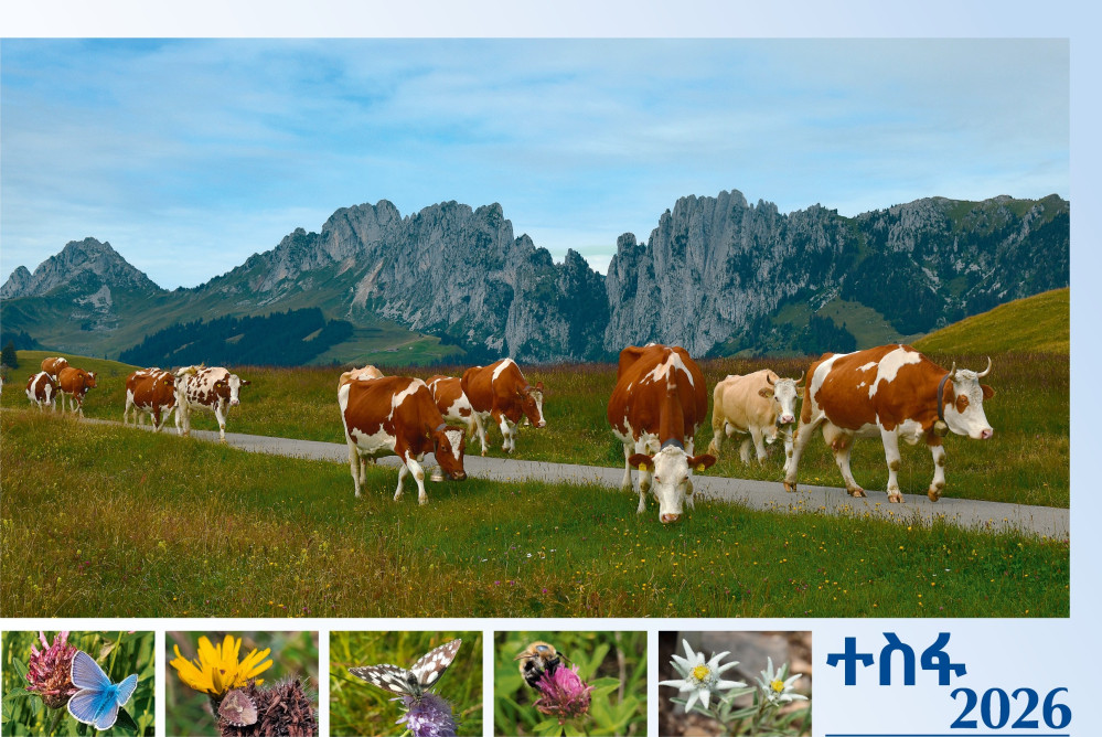 Tigrinya - Deutsch, Bildkalender Hoffnung - Monatskalender