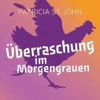 Überraschung im Morgengrauen - Hörbuch MP3-CD