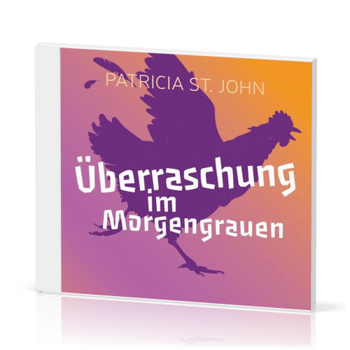 Überraschung im Morgengrauen - Hörbuch MP3-CD