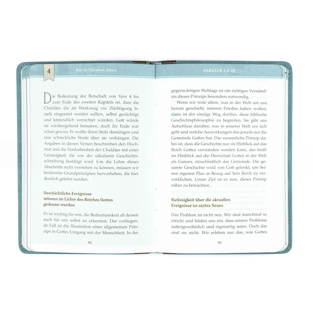 Und Gott greift doch ein - Vom Handeln Gottes in der Geschichte