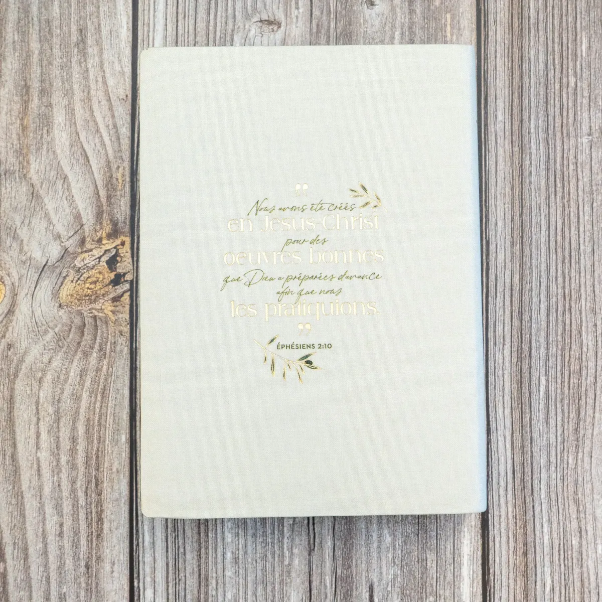 Bible Segond 21 Journal de bord -  couverture souple, toile blanche avec motifs dorés