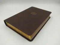 Spanisch, Reina Valera 1960, Grossdruck - gebunden Kunstleder, braun mit Goldschnitt, Lesezeichen