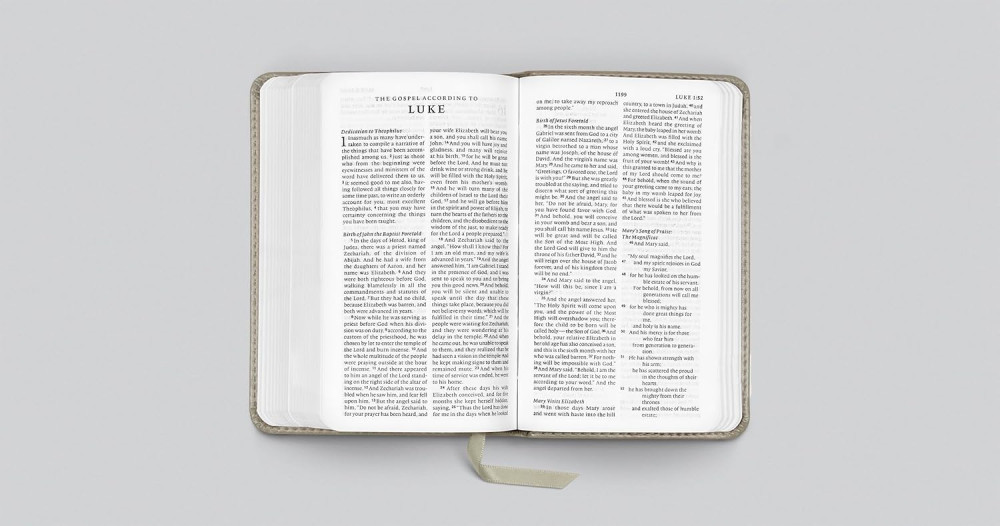 Englisch, Bibel English Standard Version, Taschenformat - gebunden Kunstleder grau, Motif Zweig...