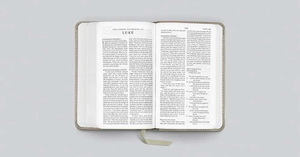 Englisch, Bibel English Standard Version, Taschenformat - gebunden Kunstleder grau, Motif Zweig...