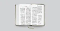 Englisch, Bibel English Standard Version, Taschenformat - gebunden Kunstleder grau, Motif Zweig...