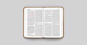 Englisch, Neues Testament, Psalmen und Sprüche, Taschenformat - gebunden Kunstleder braun, Motif...