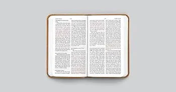 Englisch, Neues Testament, Psalmen und Sprüche, Taschenformat - gebunden Kunstleder braun, Motif...