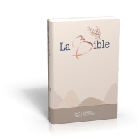 Segond 21-Bibel, französisch, Großdruck - gepolstertes Hardcover