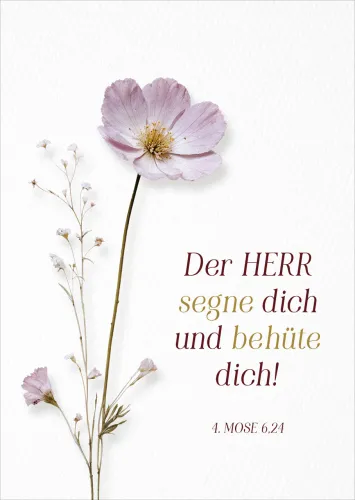Postkarte Der Herr segne dich - 4. Mose 6,24
