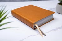 Spanisch, Studienbibel Reina Valera 1960, Grossdruck mit Bilder Israels - gebunden Kunstleder braun