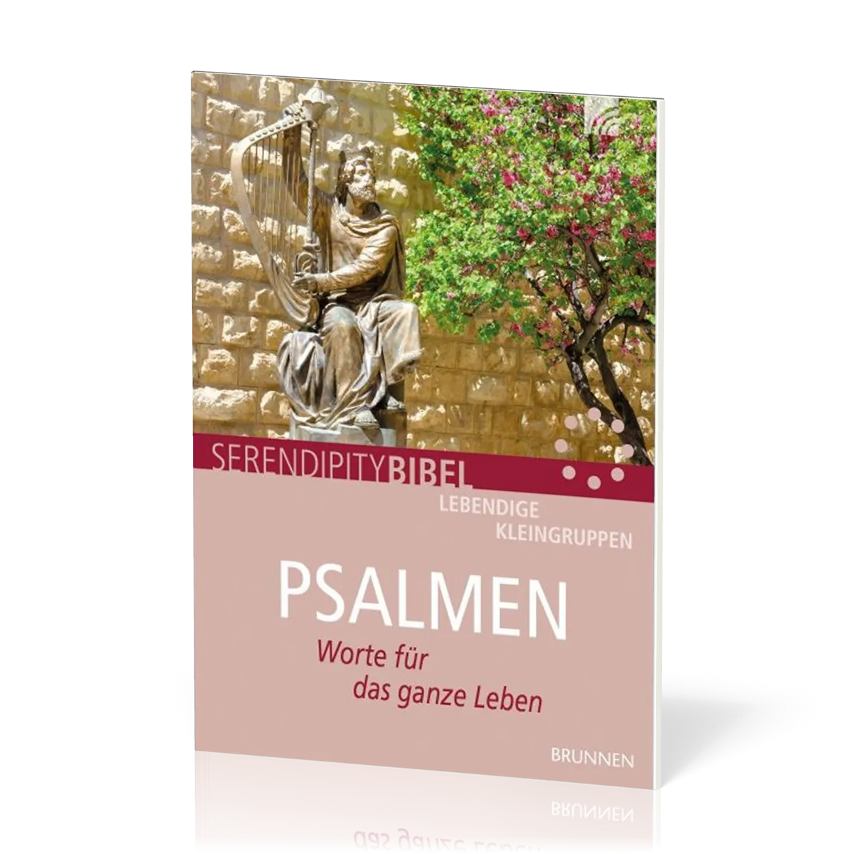 Psalmen - Worte für das ganze Leben - Serendipitiy