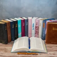 Segond 21 Bibel französisch kompakt - Hardcover rosa Marshmallow