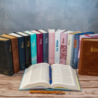 Bibel Segond 21, französisch (Premium Style) - gestepptes Hardcover aus Canvas mit Blumenmuster