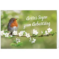 Faltkarte - Gottes Segen zum Geburtstag - Vogel - mit Umschlag