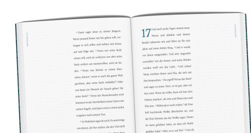 Die gute Botschaft nach Matthäus - EsraBibel - Serie: EsraBibel Logbuch