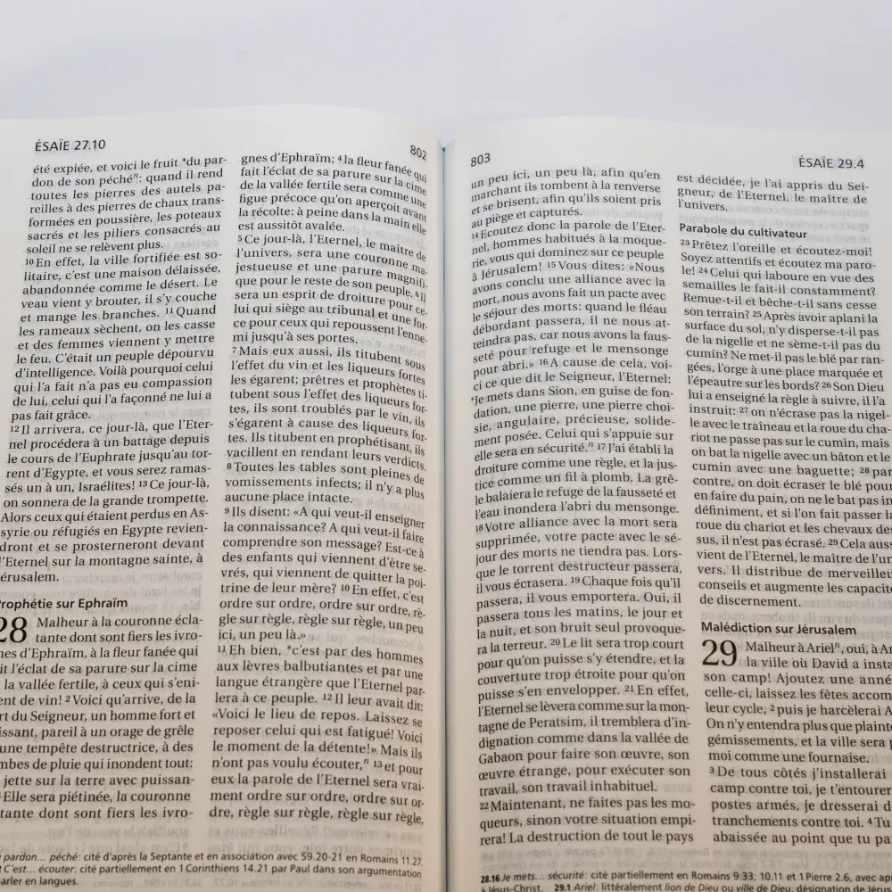 Bible Segond 21 französisch kompakt - Hardcover Skivertex metalblau