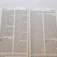 Bible Segond 21 französisch kompakt - Hardcover Skivertex metalblau