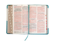 Spanisch, Bibel Reina Valera, Taschenformat - gebunden Kunstleder blau, Griffregister,...