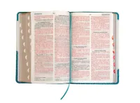 Spanisch, Bibel Reina Valera, Taschenformat - gebunden Kunstleder blau, Griffregister,...