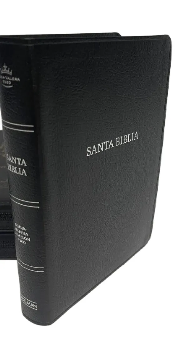 Spanisch, Reina Valera Bibel 1960, Santa Biblia, Silberschnitt, schwarz