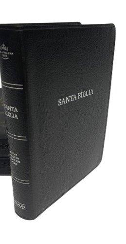 Spanisch, Reina Valera Bibel 1960, Santa Biblia, Silberschnitt, schwarz