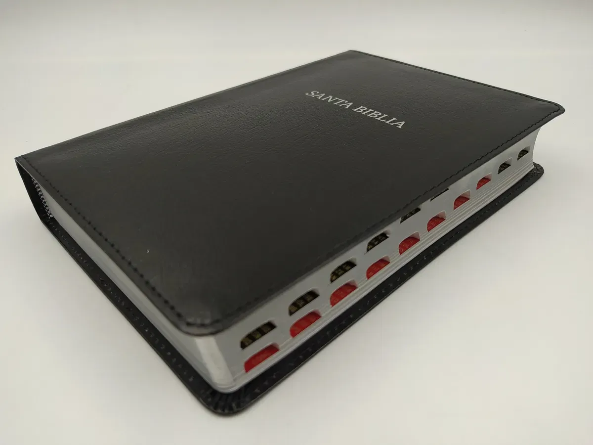 Espagnol, Bible, Reina Valera  1960, gros caractères, moyen format, fibrocuir souple noire,...