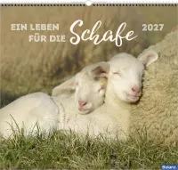Ein Leben für die Schafe - Wandkalender