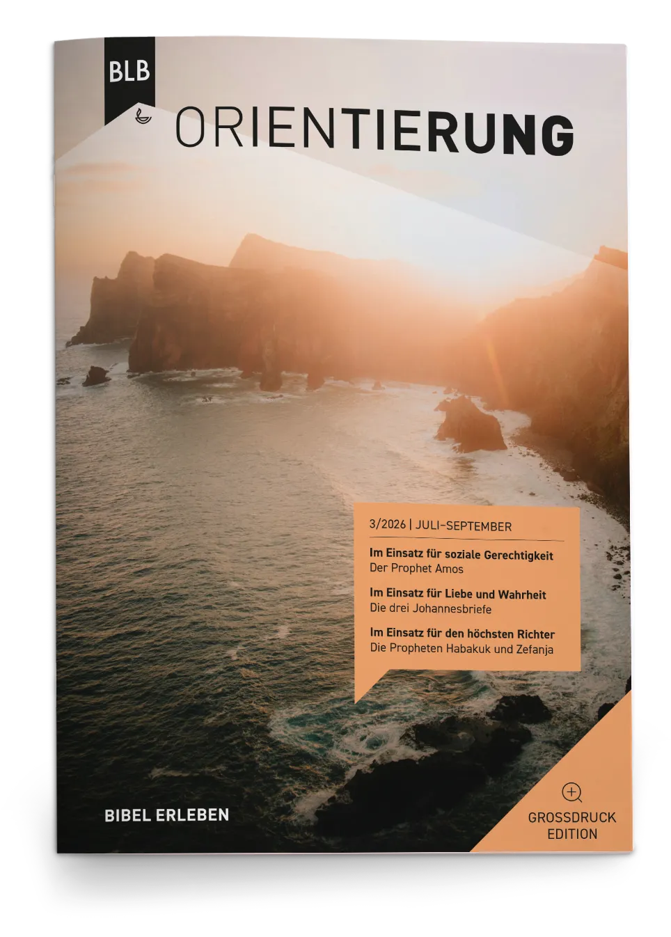 ORIENTIERUNG - GROSSDRUCK
