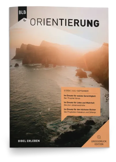 ORIENTIERUNG - GROSSDRUCK