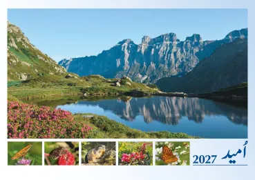 Urdu - Deutsch, Bildkalender Hoffnung - Monatskalender