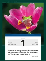 Französisch, Gottes Wort für jeden Tag - Abreisskalender - Paix vous soit