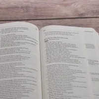NGÜ Neues Testament mit Psalmen und Sprüche - Broschiert Design-Edition